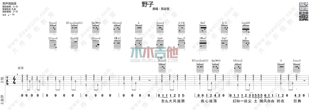 苏运莹《野子 男声版 》吉他谱(D调)-Guitar Music Score