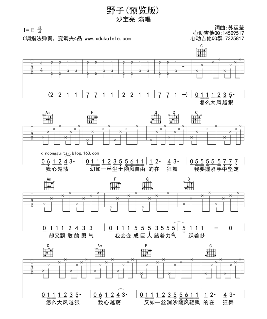 沙宝亮《野子》吉他谱-Guitar Music Score