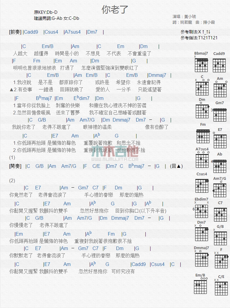 黄小琥《你老了》吉他谱-Guitar Music Score