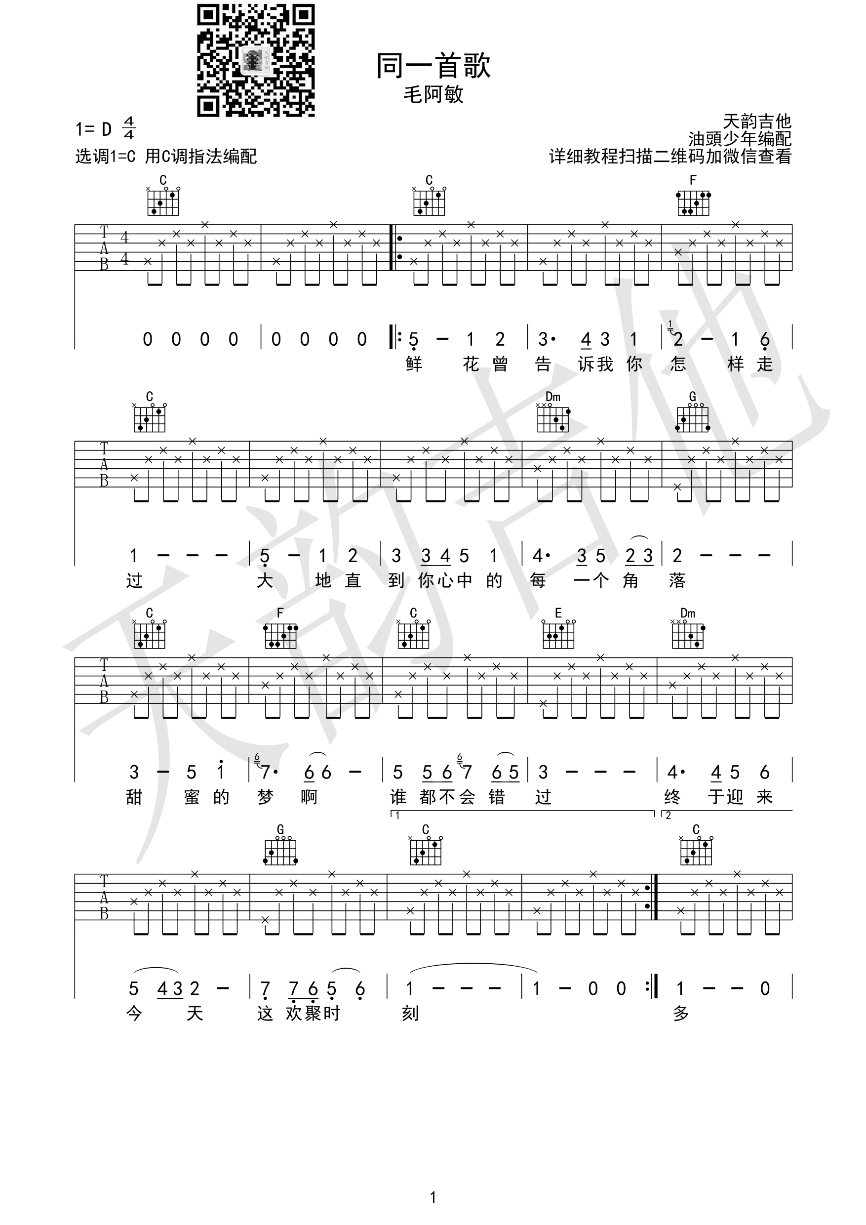 毛阿敏《同一首歌》吉他谱-Guitar Music Score