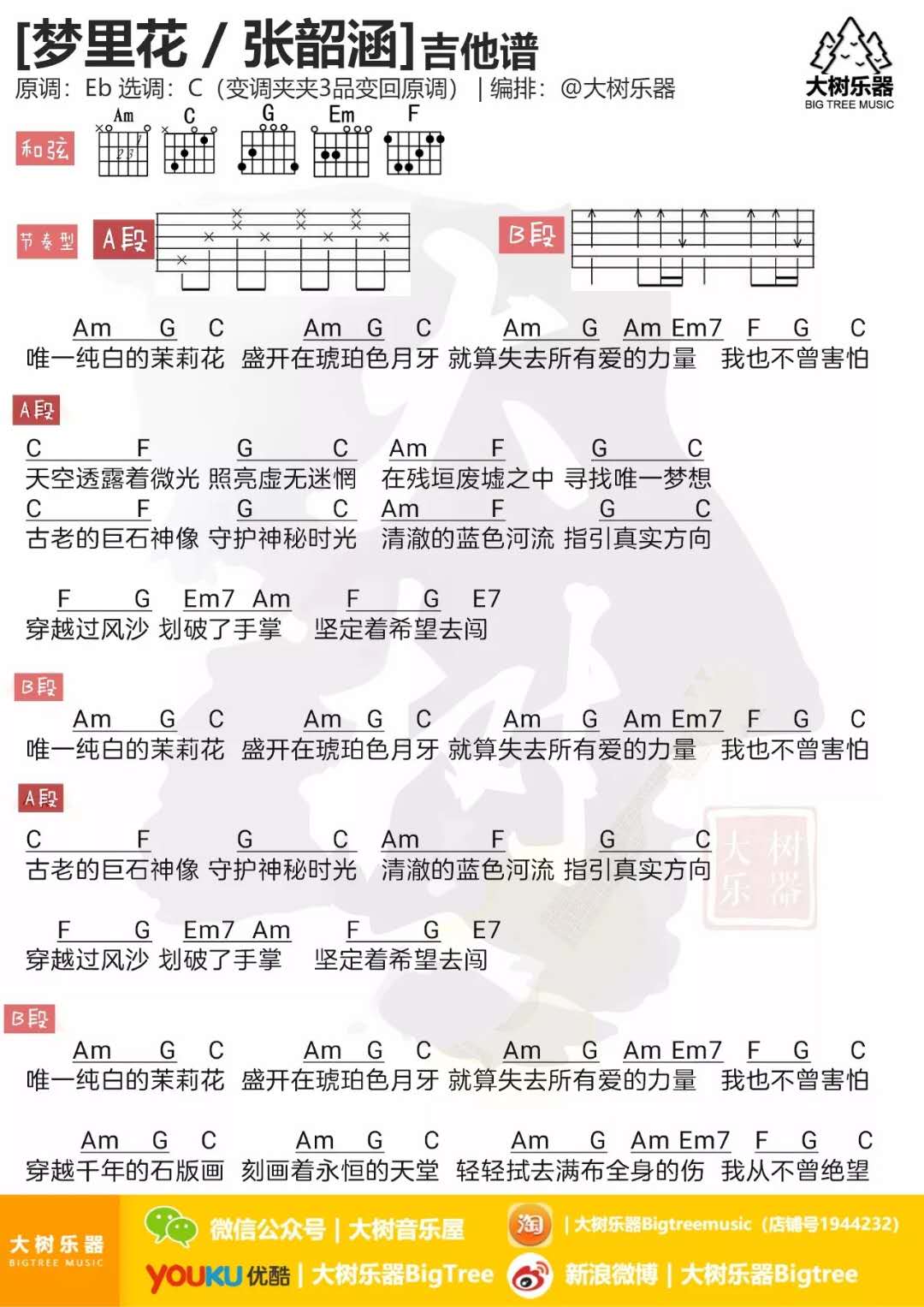 张韶涵《梦里花》吉他谱-Guitar Music Score