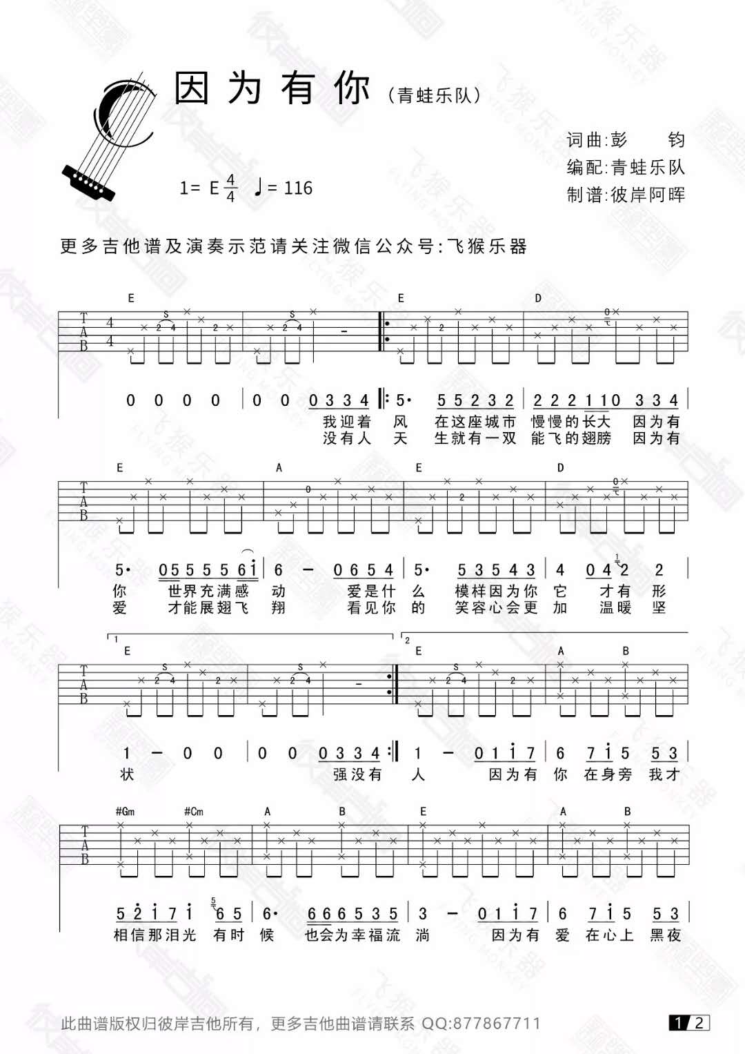 青蛙乐队《因为有你》吉他谱(E调)-Guitar Music Score