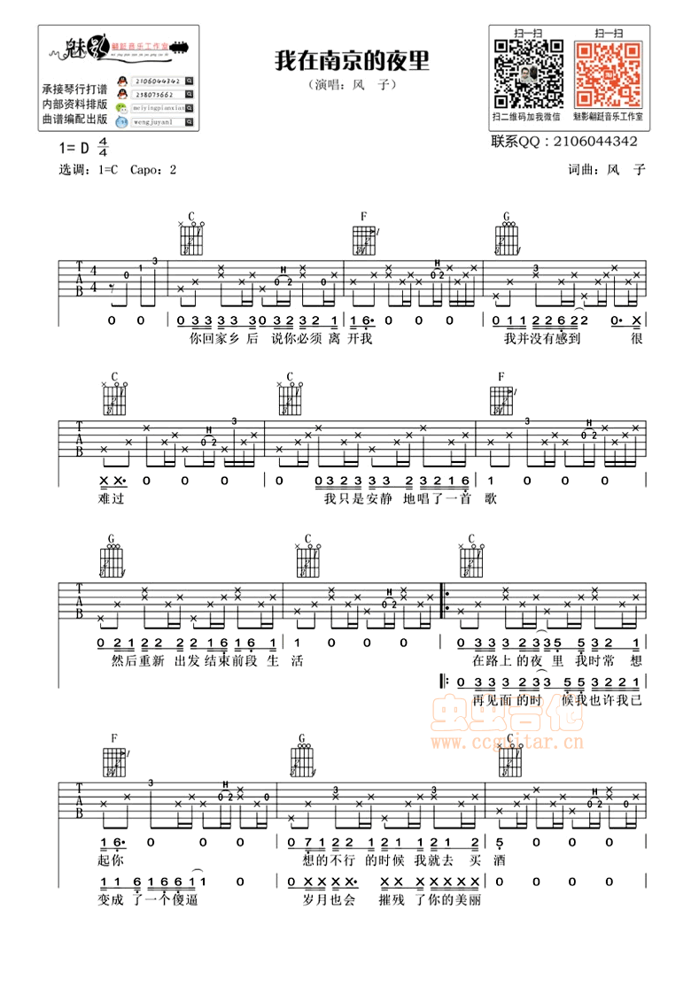 风子《我在南京的夜里》吉他谱(D调)-Guitar Music Score