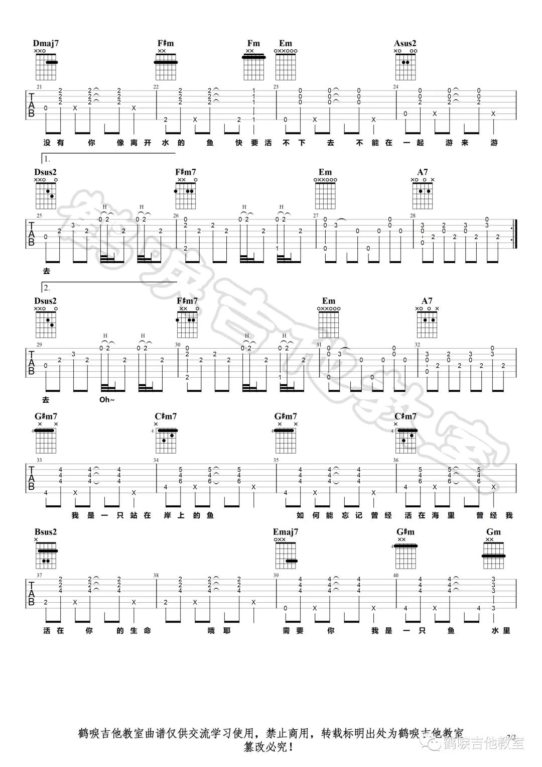 落日飞车《我是一只鱼》吉他谱(D调)-Guitar Music Score