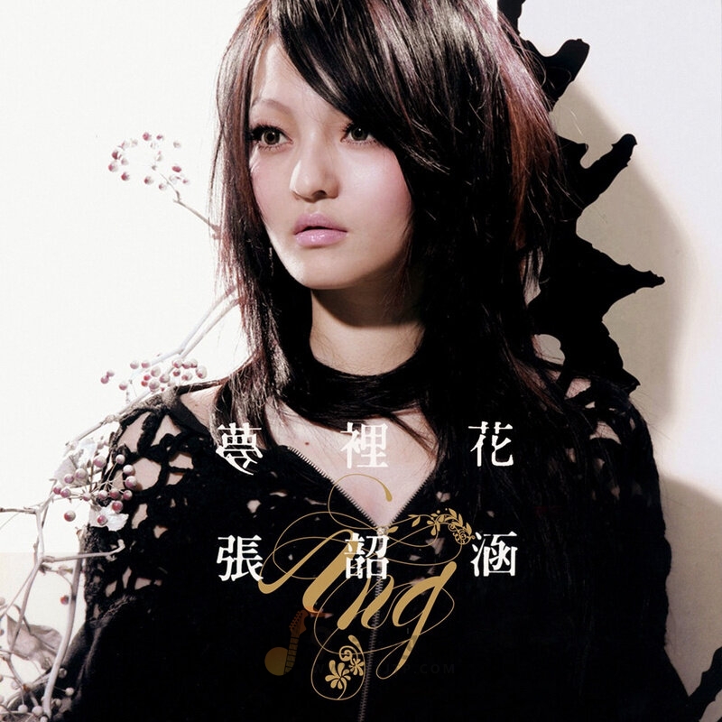 张韶涵《梦里花》乐队总谱|GTP谱