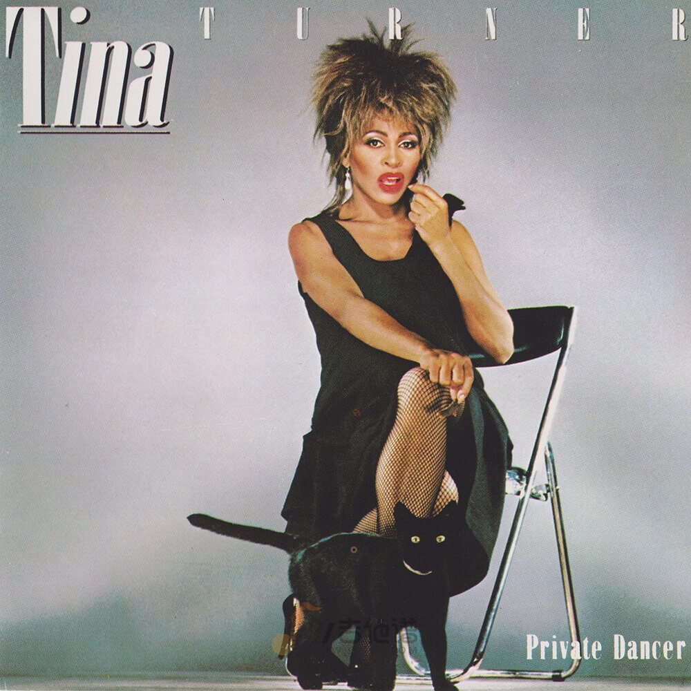 Tina Turner《Private Dancer》乐队总谱|GTP谱