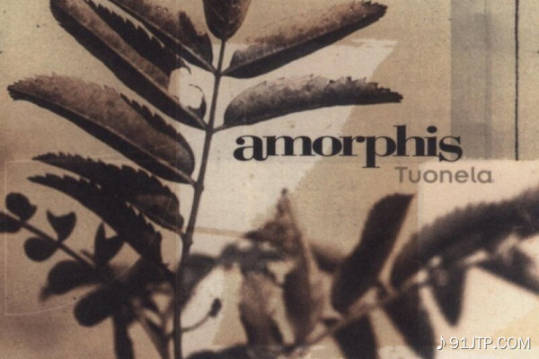 Amorphis《Divinity》乐队总谱|GTP谱