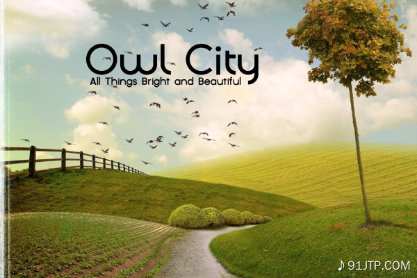 Owl City《Deer In The Headlights》乐队总谱|GTP谱