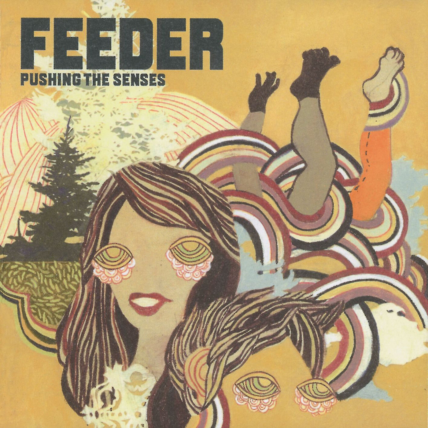 Feeder《Tender》乐队总谱|GTP谱