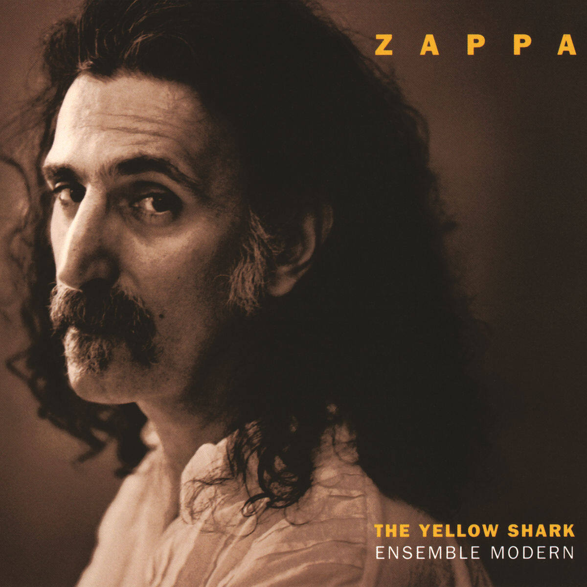 Frank Zappa《Dog Breath Variations》乐队总谱|GTP谱