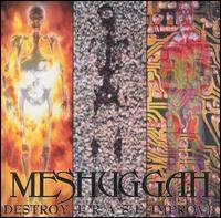 Meshuggah《Transfixion》乐队总谱|GTP谱