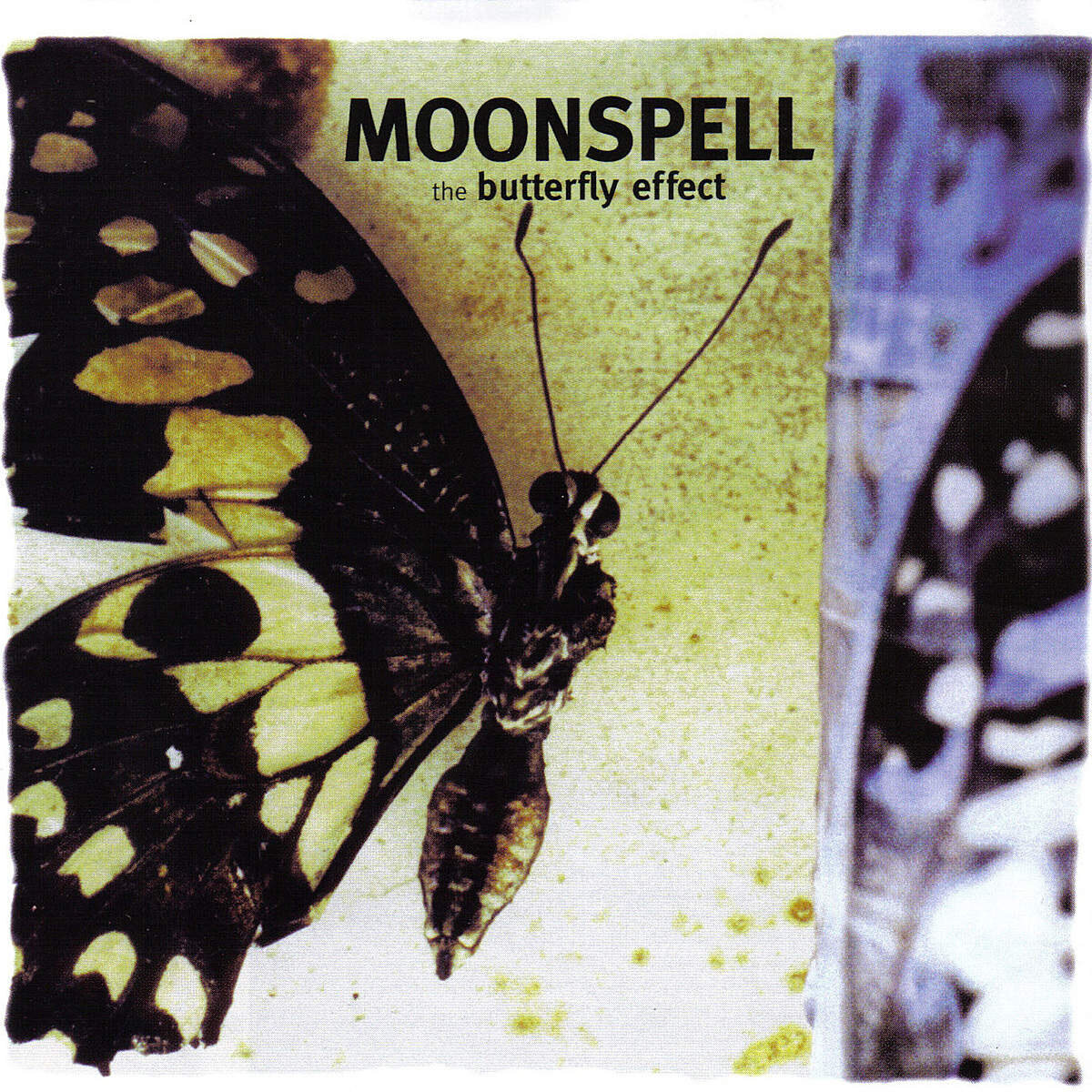 Moonspell《Cant Bee》乐队总谱|GTP谱