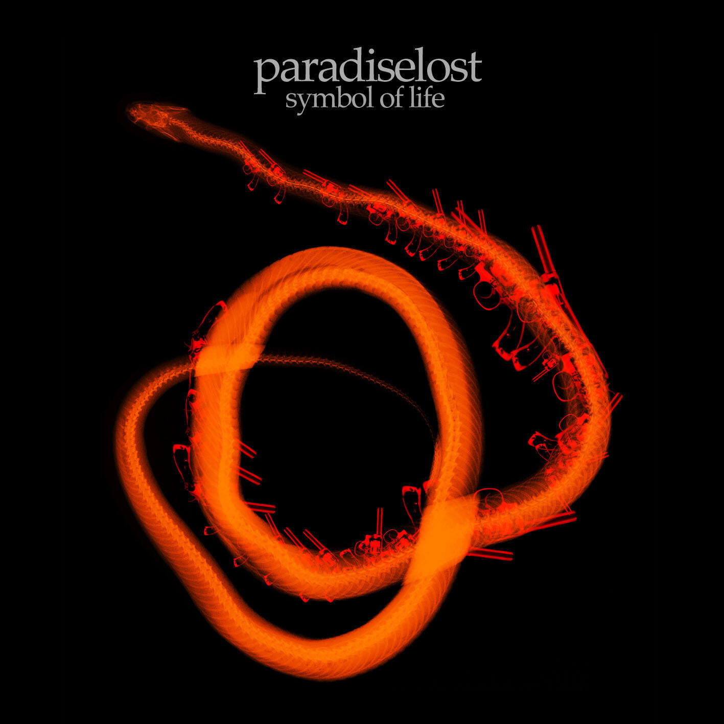 Paradise Lost《Erased》乐队总谱|GTP谱