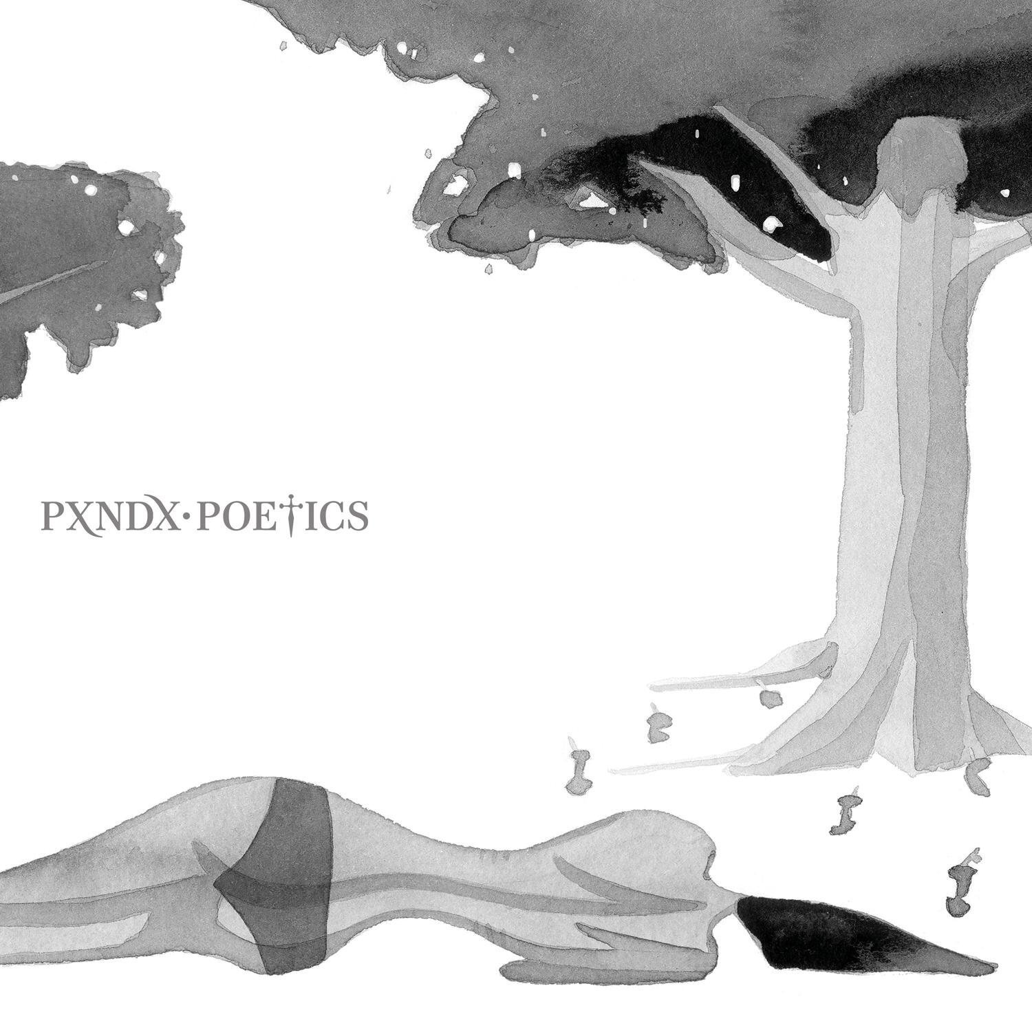 Panda《Agradable Locura Temporal》乐队总谱|GTP谱