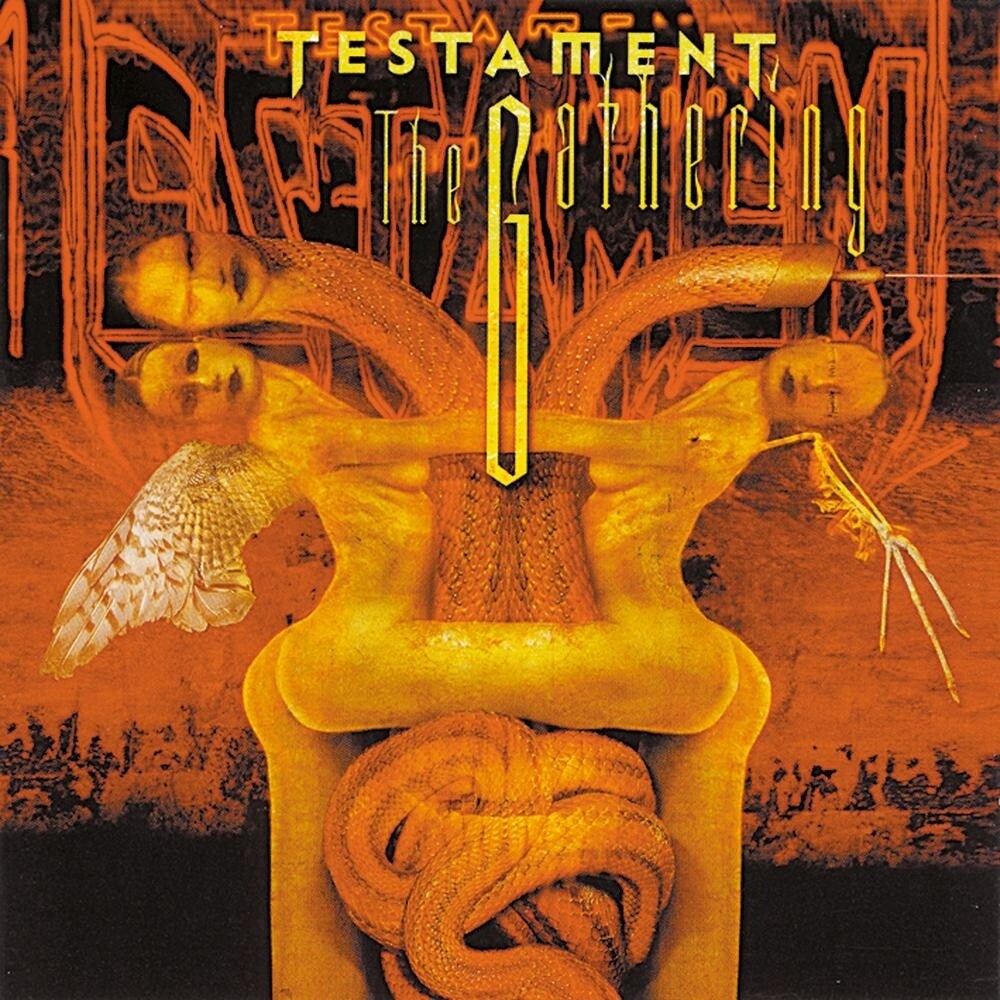 Testament《True Believer》乐队总谱|GTP谱