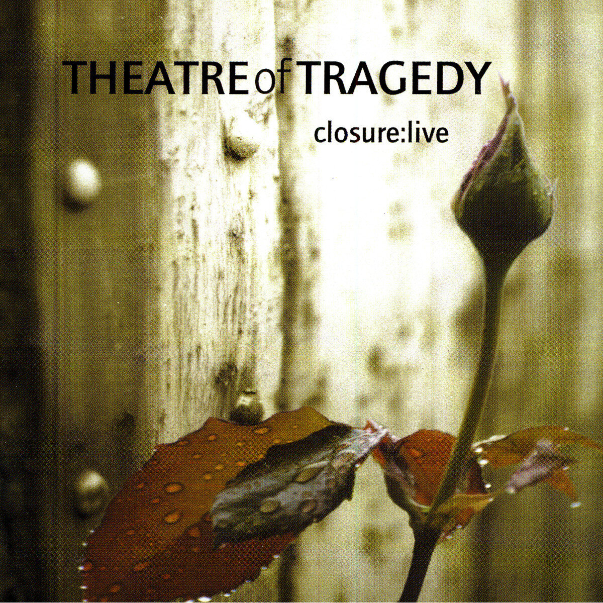 Theatre of Tragedy《A Distance There Is》乐队总谱|GTP谱