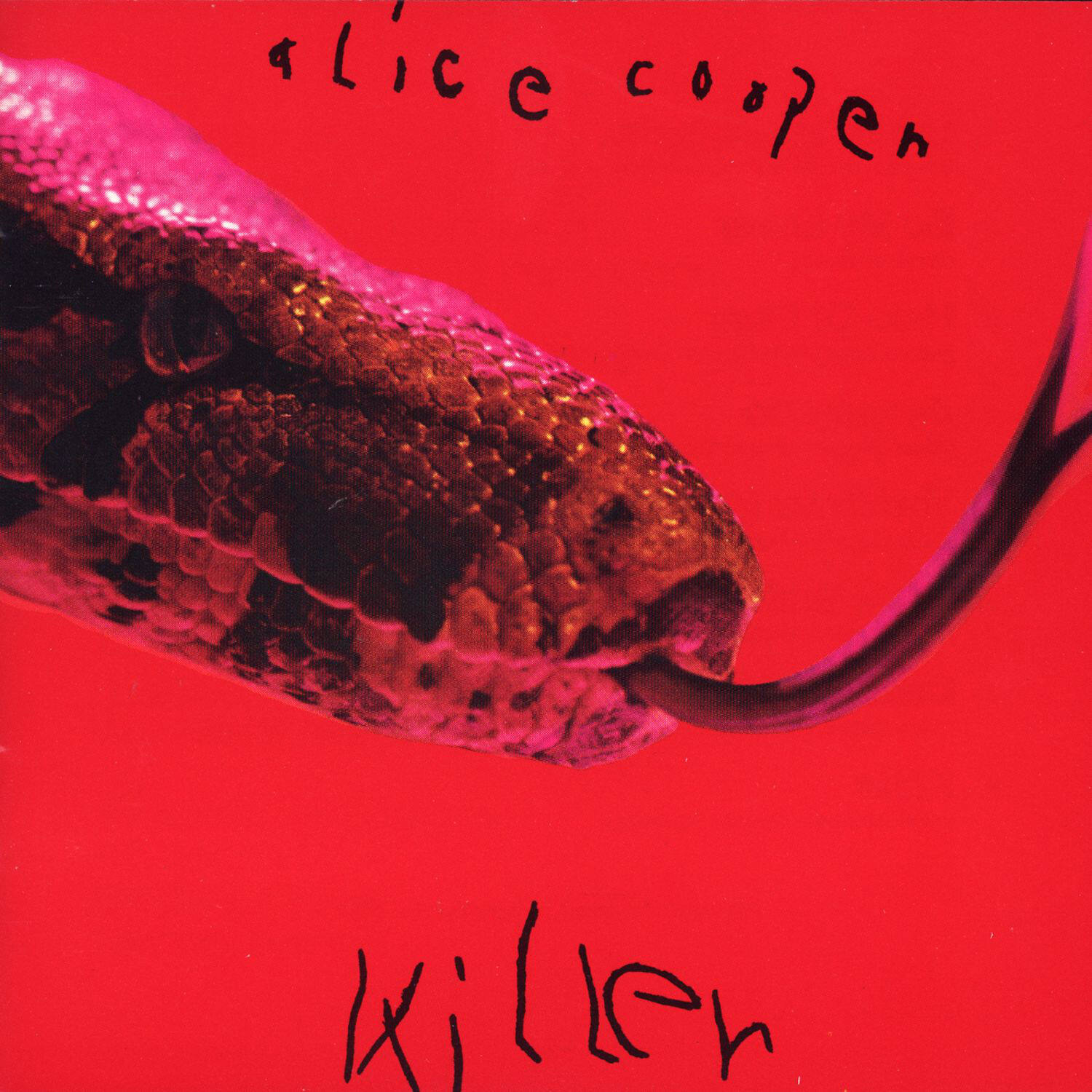 Alice Cooper《Halo Of Flies》乐队总谱|GTP谱