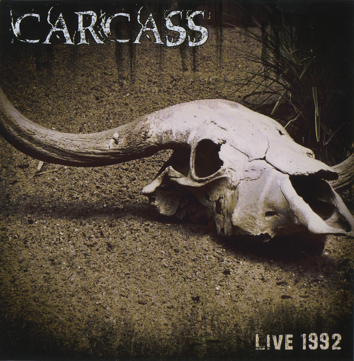 Carcass《Incarnated Solvent Abuse》乐队总谱|GTP谱