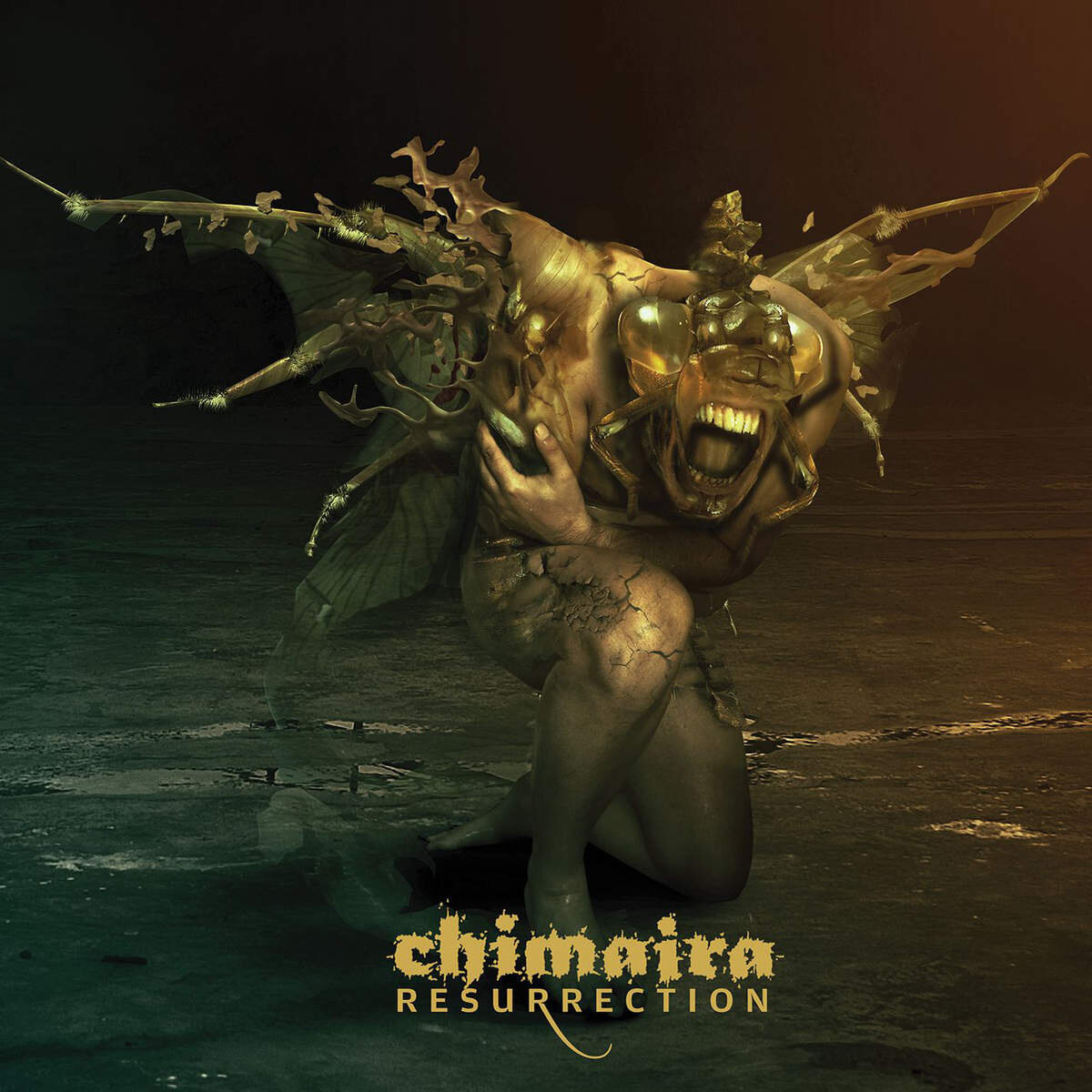Chimaira《Black Heart》乐队总谱|GTP谱