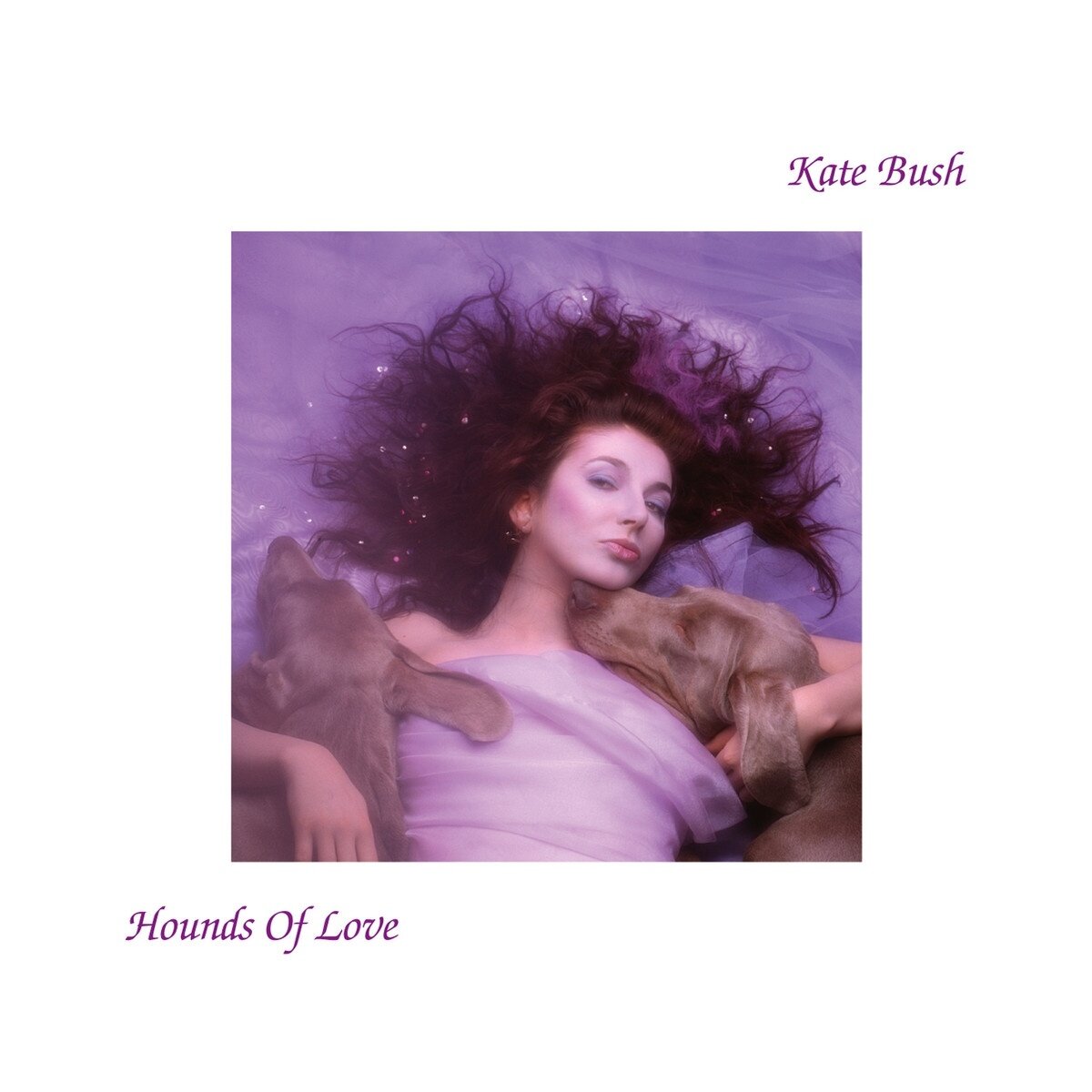 Kate Bush《Under Ice》乐队总谱|GTP谱