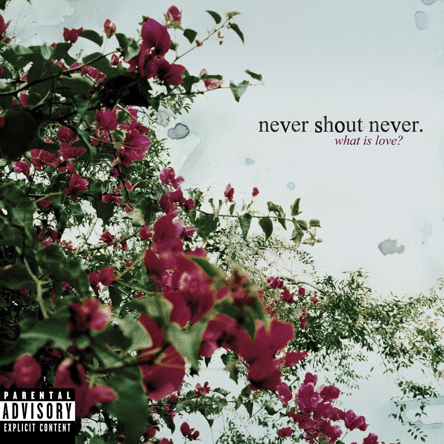 Never Shout Never《Jane Doe》乐队总谱|GTP谱