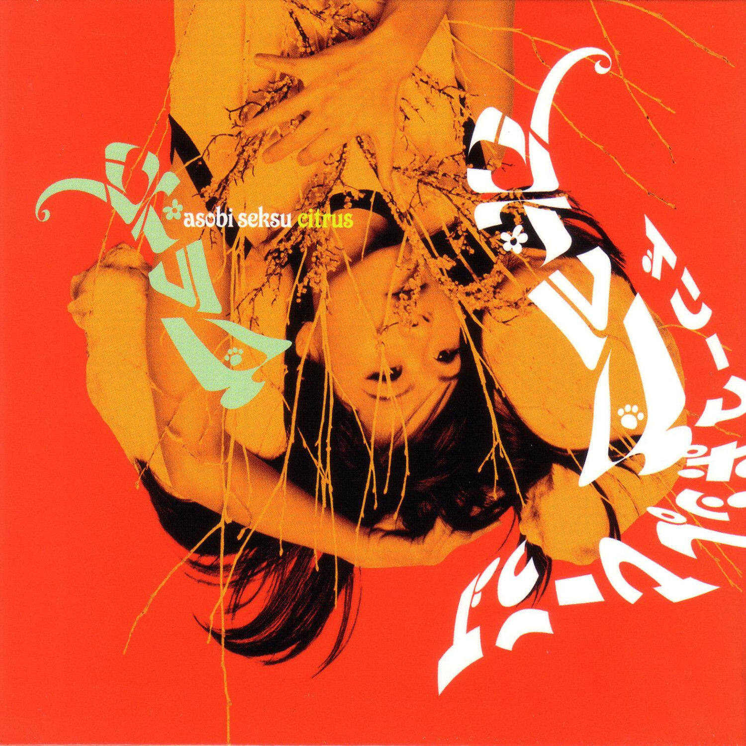 Asobi Seksu《New Years》乐队总谱|GTP谱