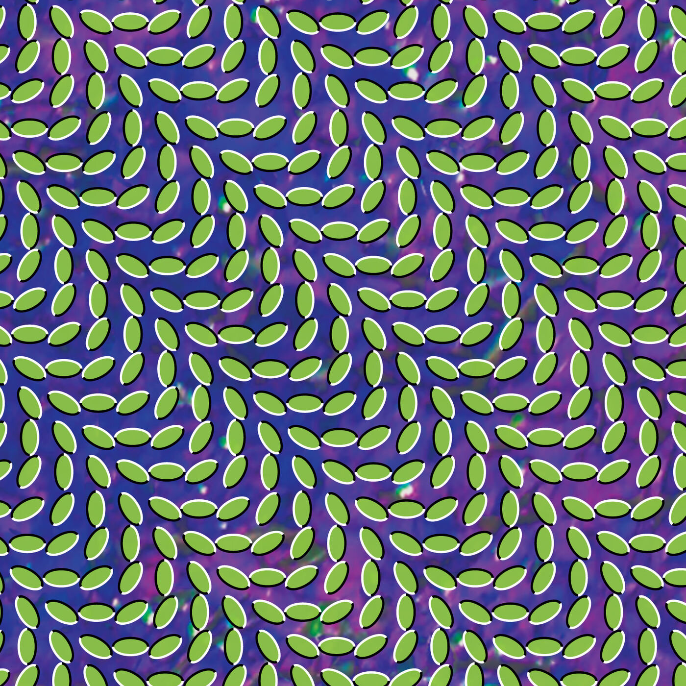 Animal Collective《My Girls》乐队总谱|GTP谱