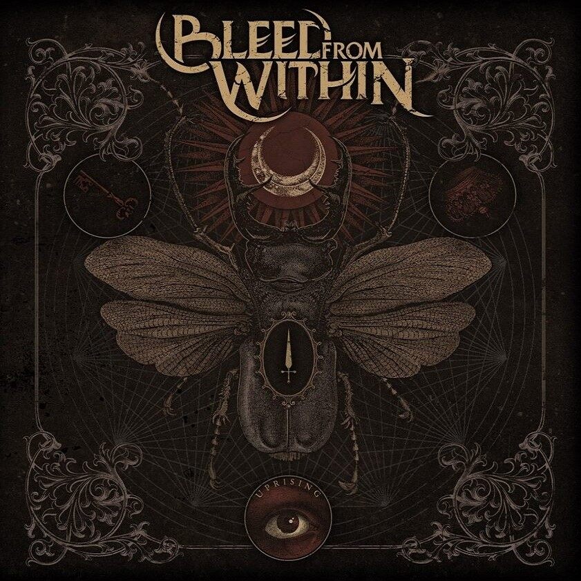 Bleed from Within《Colony》乐队总谱|GTP谱
