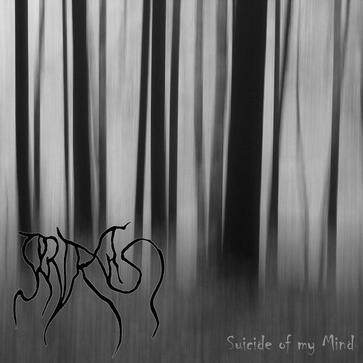 Araxas《Suicide Of My Mind》乐队总谱|GTP谱