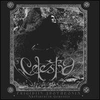 Celestia《A Regrettable Misinterpretation》乐队总谱|GTP谱
