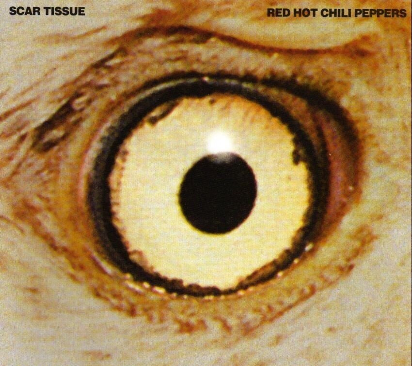 Red Hot Chili Peppers《Gong Li》乐队总谱|GTP谱