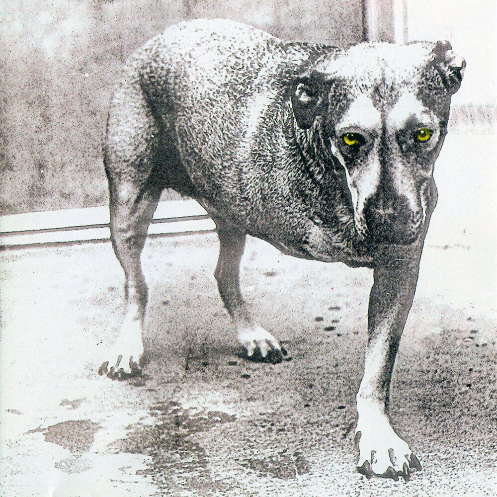 Alice in Chains《God Am》乐队总谱|GTP谱