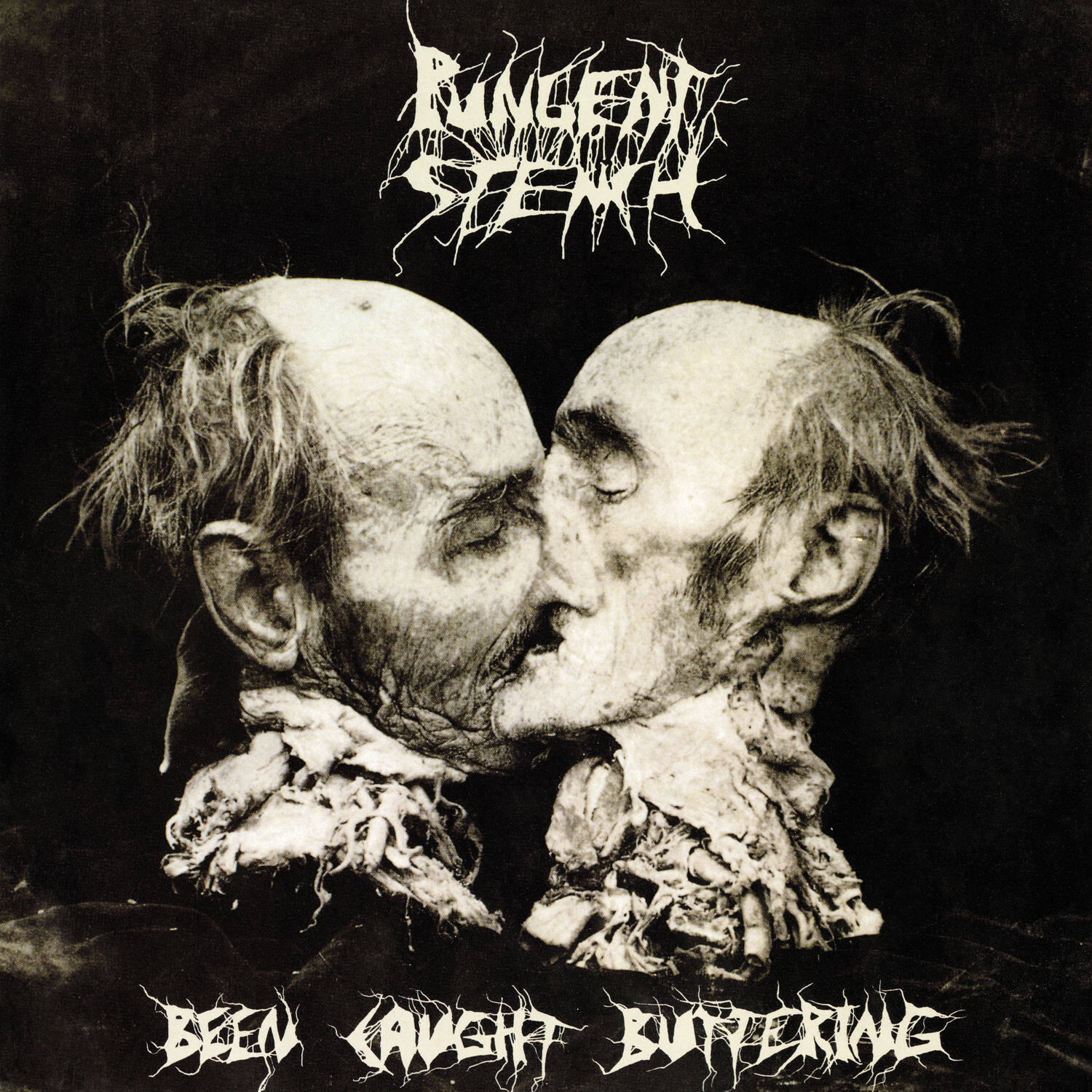 Pungent Stench《Happy Re-Birthday》乐队总谱|GTP谱