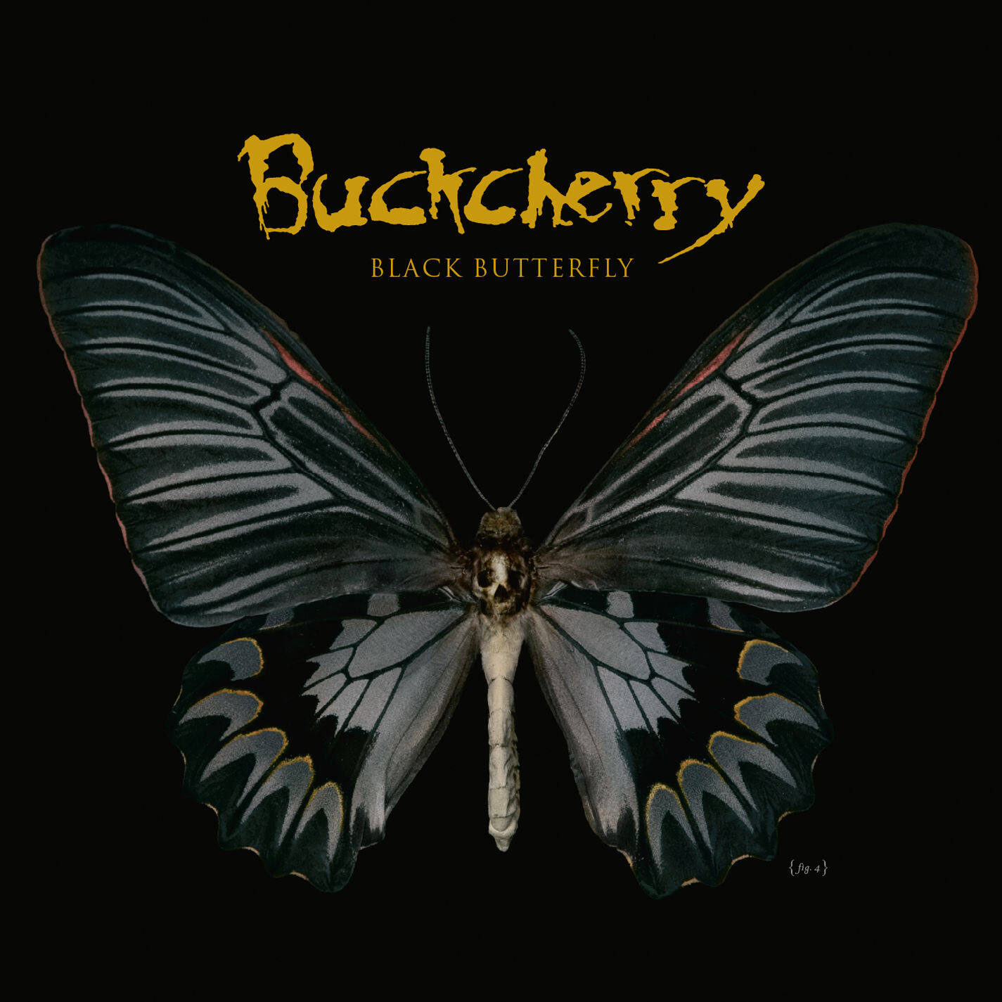 Buckcherry《Talk To Me》乐队总谱|GTP谱