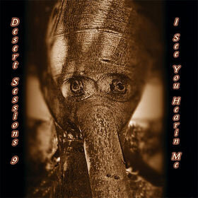 The Desert Sessions《Holey Dime》乐队总谱|GTP谱