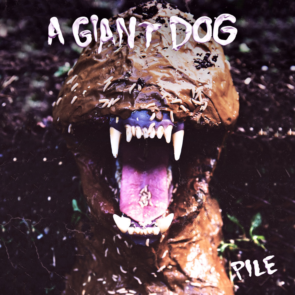 A Giant Dog《Ill Come Crashing》乐队总谱|GTP谱