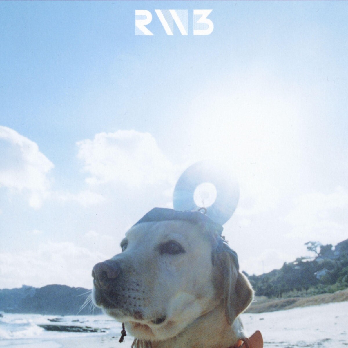 RADWIMPS《最大公約数》乐队总谱|GTP谱