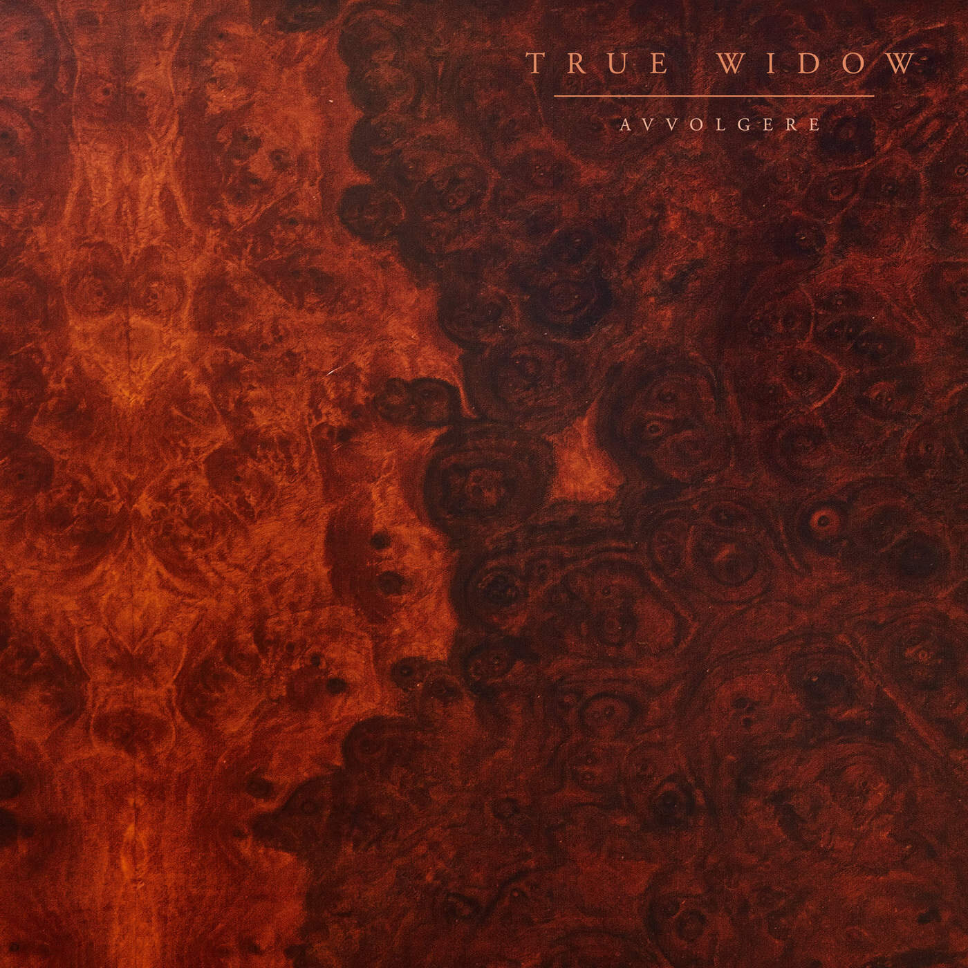 True Widow《Entheogen》乐队总谱|GTP谱