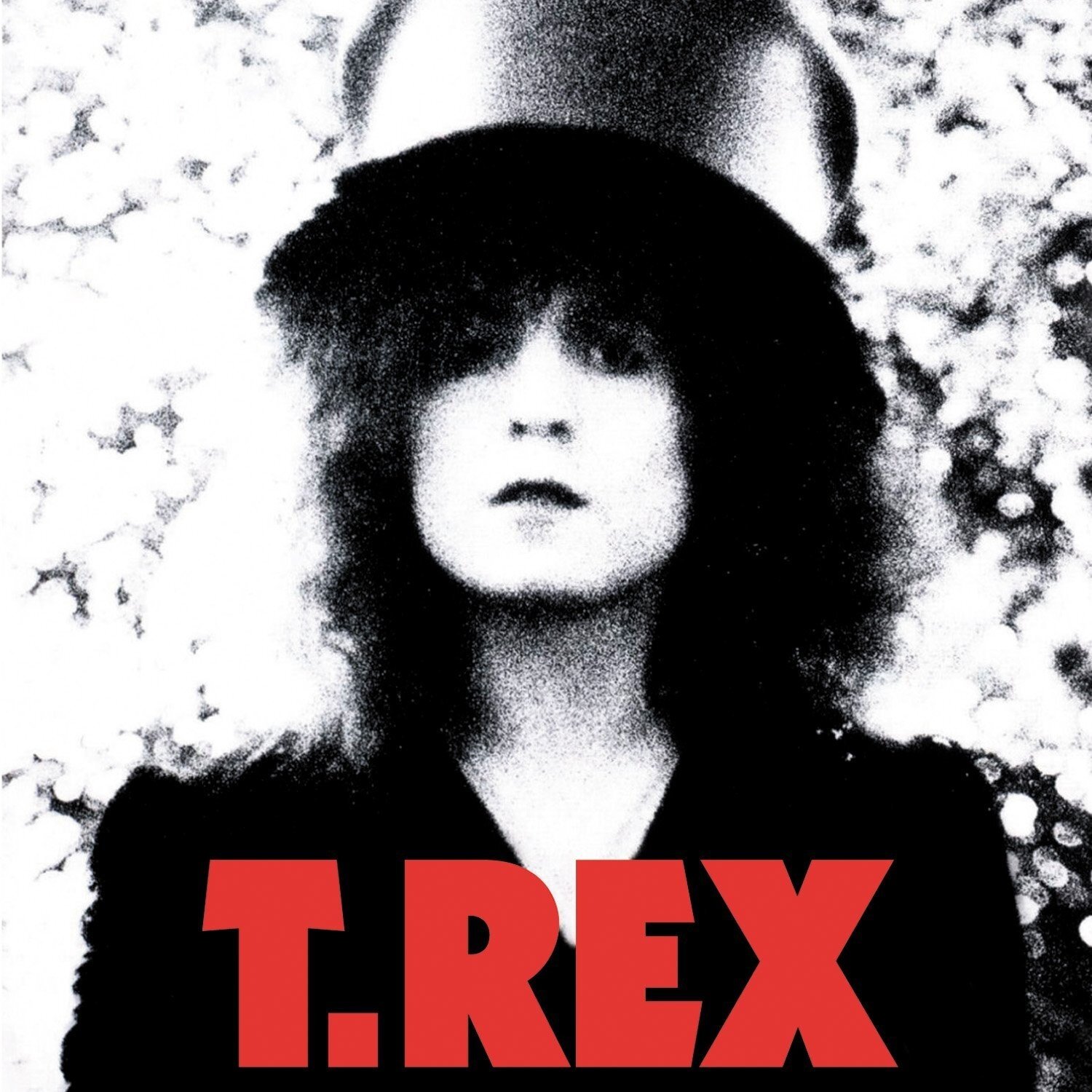 T. Rex《Baby Strange》乐队总谱|GTP谱