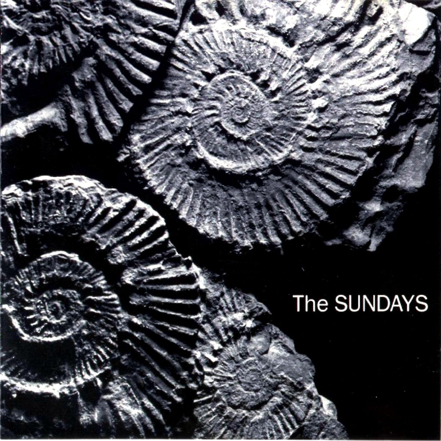 The Sundays《I Won》乐队总谱|GTP谱