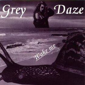 Grey Daze《Wake Me》乐队总谱|GTP谱