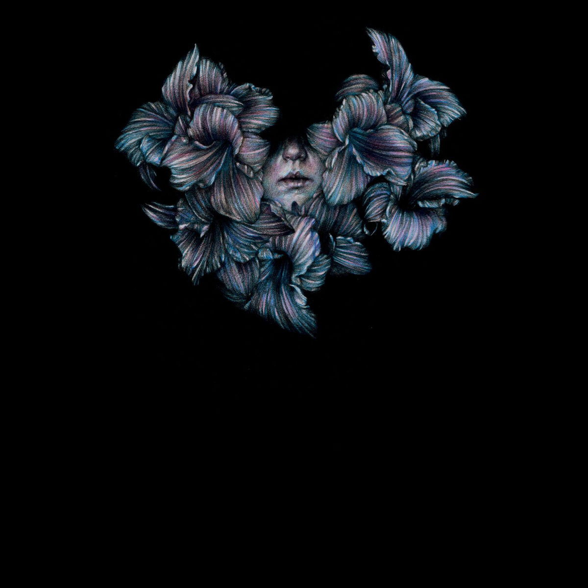 A Lot Like Birds《Good Soil Bad Seeds》乐队总谱|GTP谱