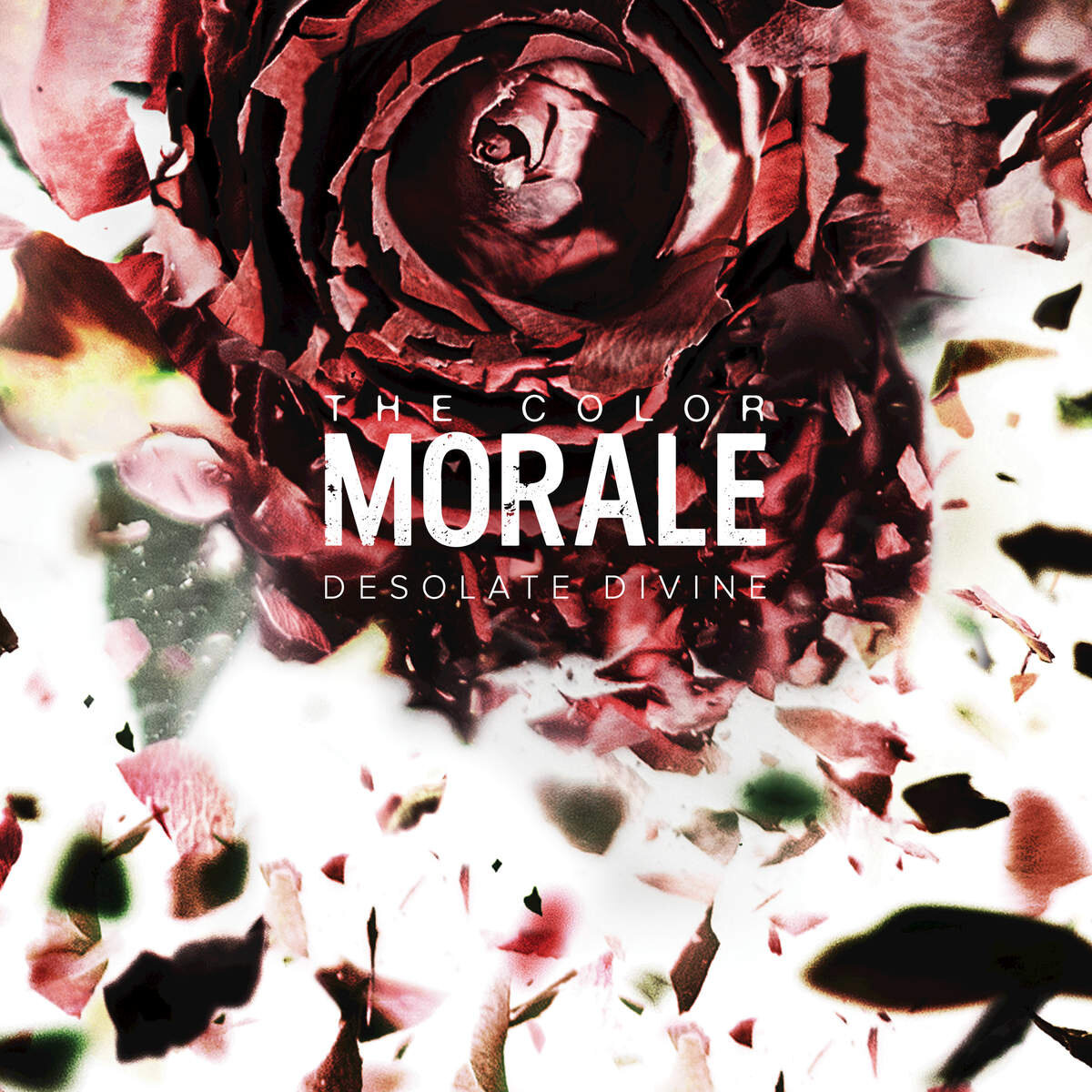 The Color Morale《Lonesome Soul》乐队总谱|GTP谱