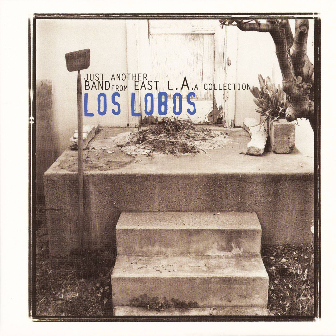 Los Lobos《The Neighborhood》乐队总谱|GTP谱