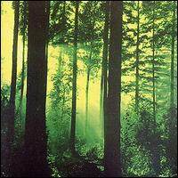 Thy Serpent《Flowers Of Witchery Abloom》乐队总谱|GTP谱