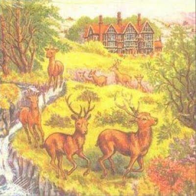 Current 93《The Cat Is Dead》乐队总谱|GTP谱