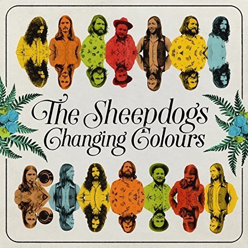 The Sheepdogs《Ive Got A Hole Where My Heart Should Be》乐队总谱|GTP谱