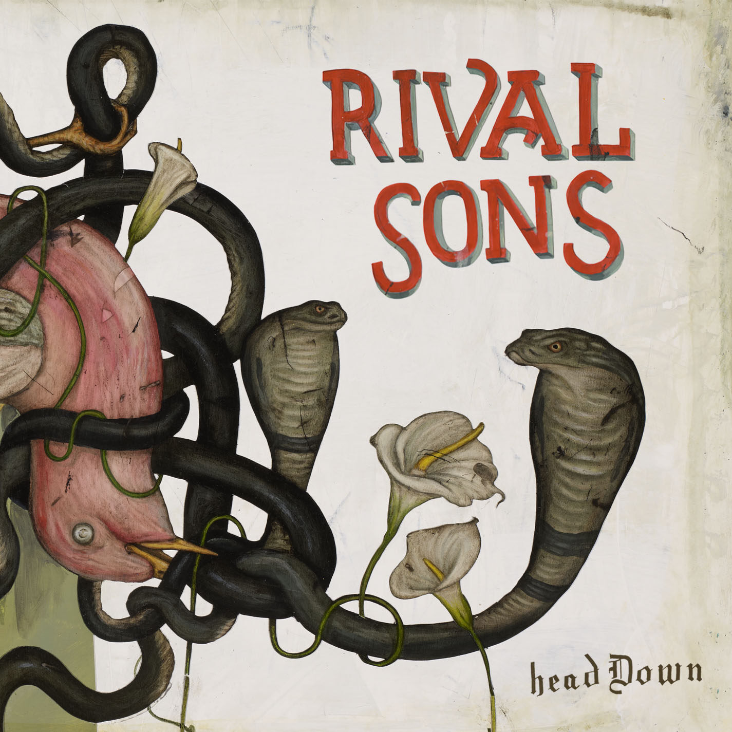 Rival Sons《Wild Animal》乐队总谱|GTP谱