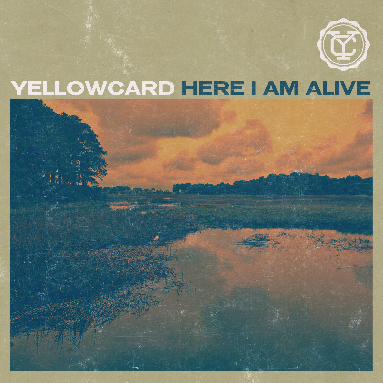 Yellowcard《Here I Am Alive》乐队总谱|GTP谱