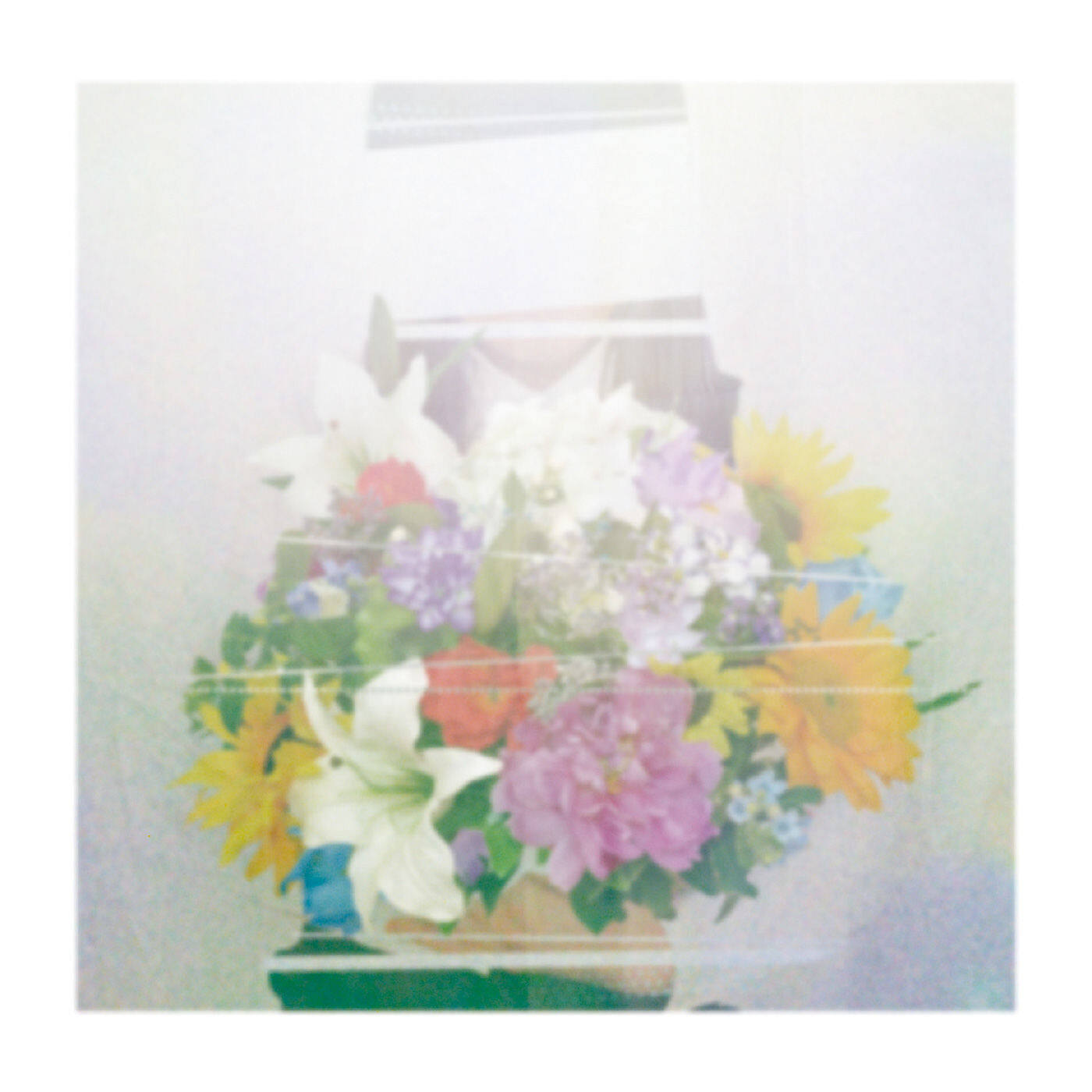 ヨルシカ《カトレア-卡特兰 Cattleya》乐队总谱|GTP谱